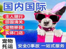 南昌昌北机场托运国际宠物托运 【国